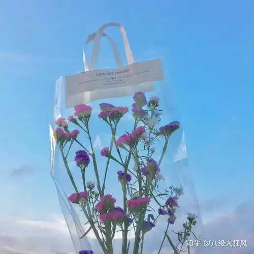  大家有哪些以绿色,天蓝色,暖黄色为背景色的头像吗比如森林系