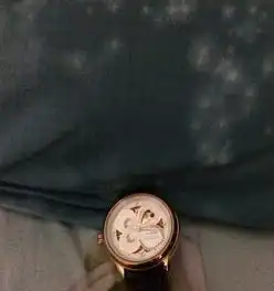 飞亚达手表四叶草