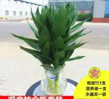  黄页88高清图片
