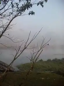  尼泊尔奇特旺穿越最原始的森林