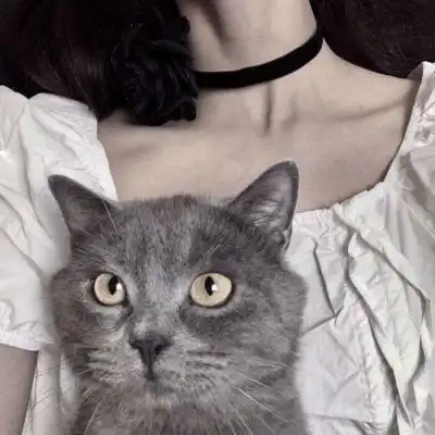  温柔抱猫部位闺蜜头遇到那么多女生头像我要个性网