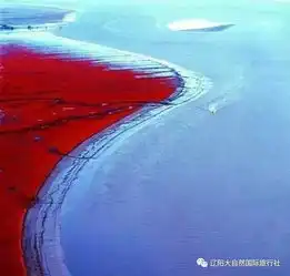 微信头像图片2021独一无