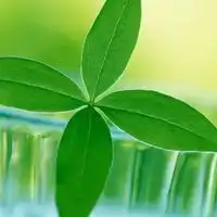  春暖花开小清新植物景色头像一波