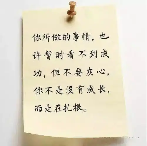  人生大总结