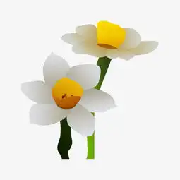 幸运草头像小清新图片手