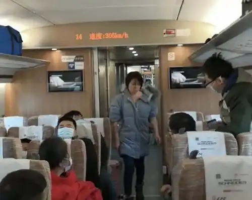 女子乘高铁不戴口罩开外放,踢踹座椅打伤乘务员,扬言老公亲自来接站
