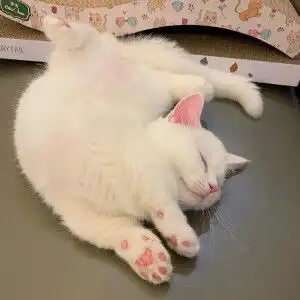  如何攻略水瓶男