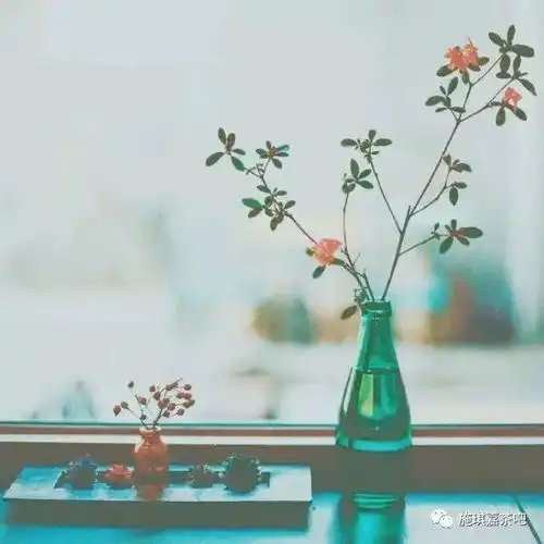  维尼科特照顾宝宝是你天生就会的事