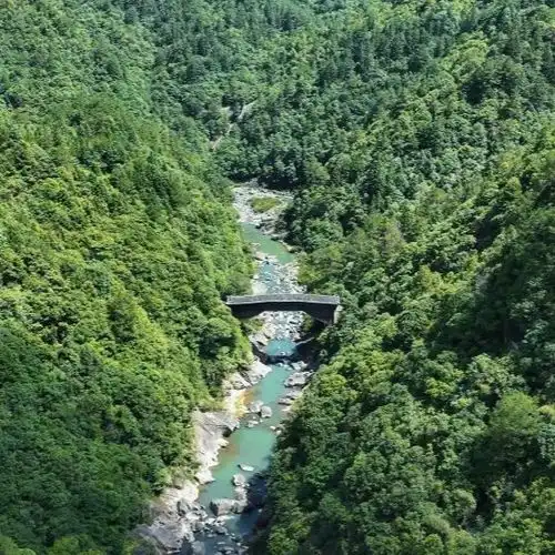  千城百县看中国福建屏南芳草廊桥隐山林一河碧水映从容