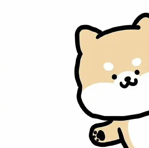 的相册都放这里啦