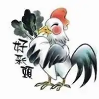  69年属鸡带好运的微信头像微信头像图片大全
