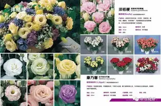  2019中世花卉花海图鉴免费领取