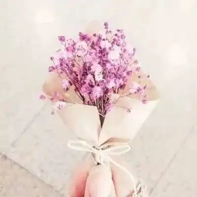  品位,是一种生活态度