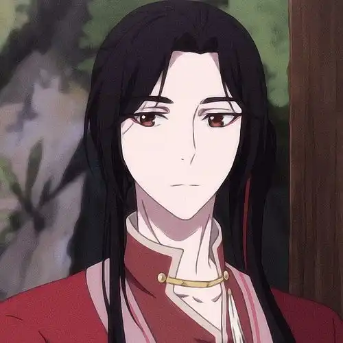 头像图片 动漫天官赐福