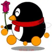  微信头像动物搞怪企鹅微信头像图片大全