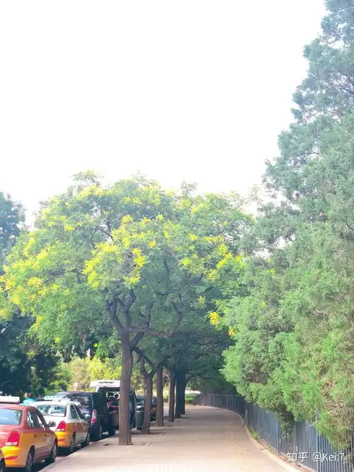  qq想换一个头像,能推荐一个吗,谢谢哦