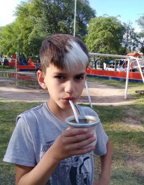  独一无二的家族标志,最酷的染发技术,六代一统的头顶白毛
