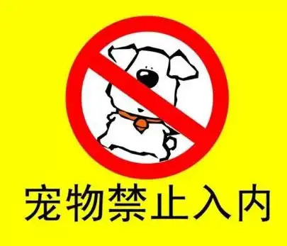  春节游马山,温馨小提示