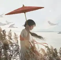  ins古风套图你是无意穿堂风,却偏偏引来了山洪