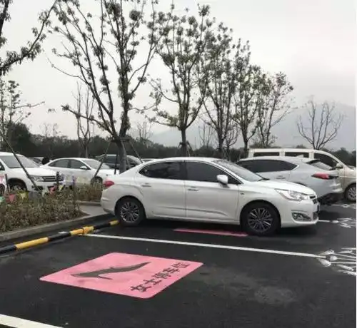  女司机技术差女性专用停车位,是优待还是性别歧视