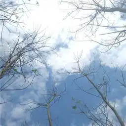  2018清新意境静物风景头像大全乱我心者今日之日不可留