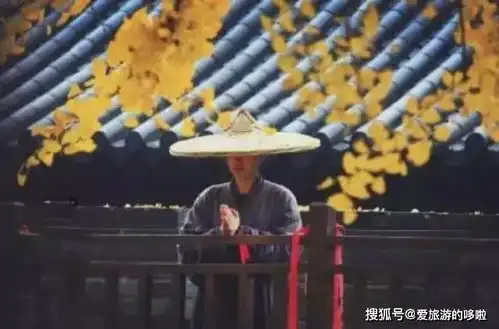  中国绝美的13个千年银杏地,简直美醉成仙,正适合挑一个去扫黄