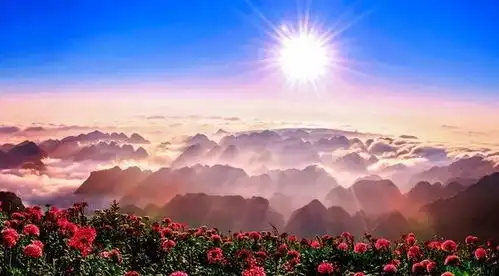  贵州的秋天有你绝对期待的云上花海