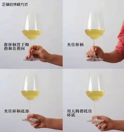  中秋葡萄酒宴会上的那些事,葡萄酒礼仪