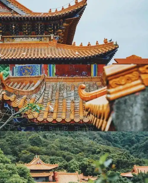  国庆出游指南出炉广州绝美周边游,好吃好看,还拍爆内存
