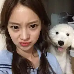 女生头像萌宠小狗靓装