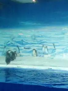  冰雪盛宴