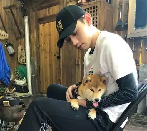  张继科又传新恋情当年大满贯已远离赛场,丁宁有意效仿,或不妥