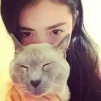  qq头像猫与美女女生霸气