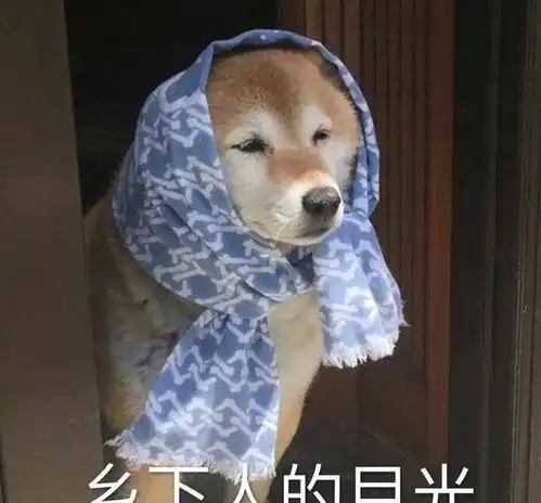 女明星头像ins高级质感