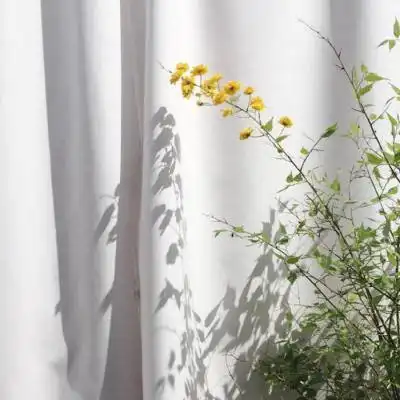 幸运草头像小清新图片下