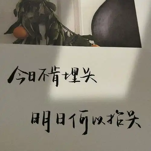  有哪些关于毕业季,且超级值得分享的神仙句子文案