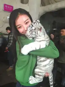  倪妮录真人秀变女汉子动物园不够苦想去可可西里