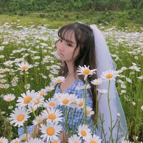  清新可爱的小雏菊真人女生头像