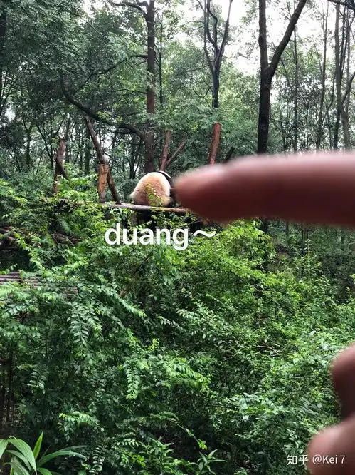  qq想换一个头像,能推荐一个吗,谢谢哦