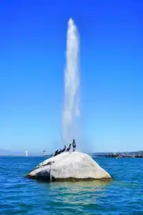  我励志写一篇独一无二的allegroswiss