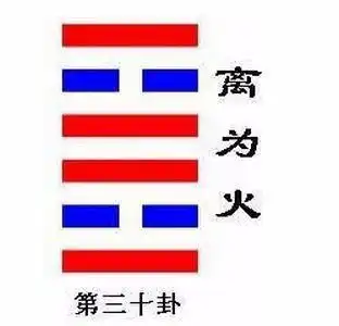  木命的人五行缺什么