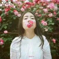 植物四叶草头像微信头像图片大全