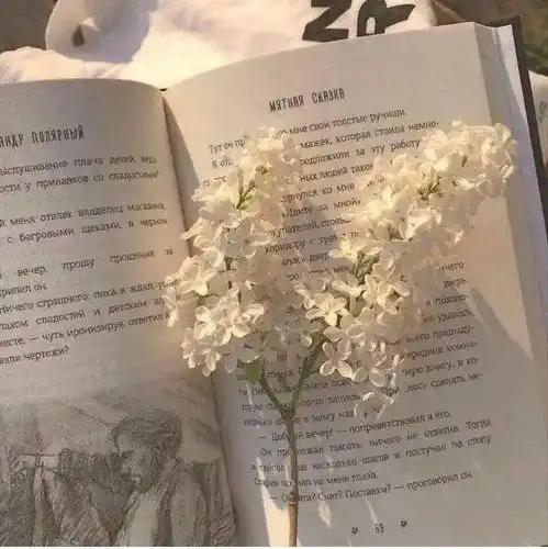  分享一下最近喜欢的文案