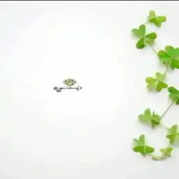  膳麦坊的美拍
