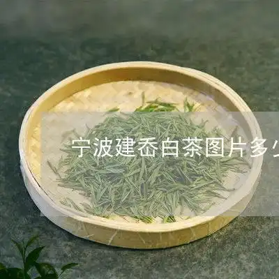  推荐新闻速递波建岙白茶图片多少一盒波建岙白茶图片多少一盒5月实时动态茶叶栏目