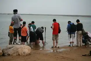  上海奉贤碧海金沙动漫嘉年华游记专辑第3页行云andyzou