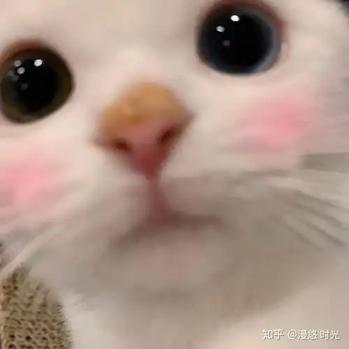  求推荐补水保湿的平价水乳霜