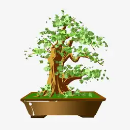  发财树花苗植物盆景摆件图片素材其他格式下载动漫人物大全