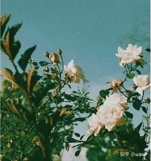  你有什么一眼就惊艳的文案