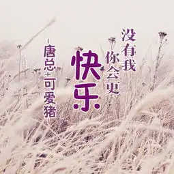  苦尽甘来dj版唐总可爱猪高音质在线试听苦尽甘来dj版歌词歌曲下载酷狗音乐